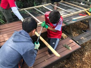 kids building trellis