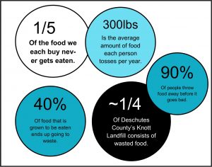 Food Waste Bubble Stats