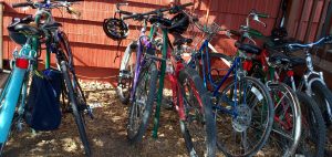 Bikes at TEC