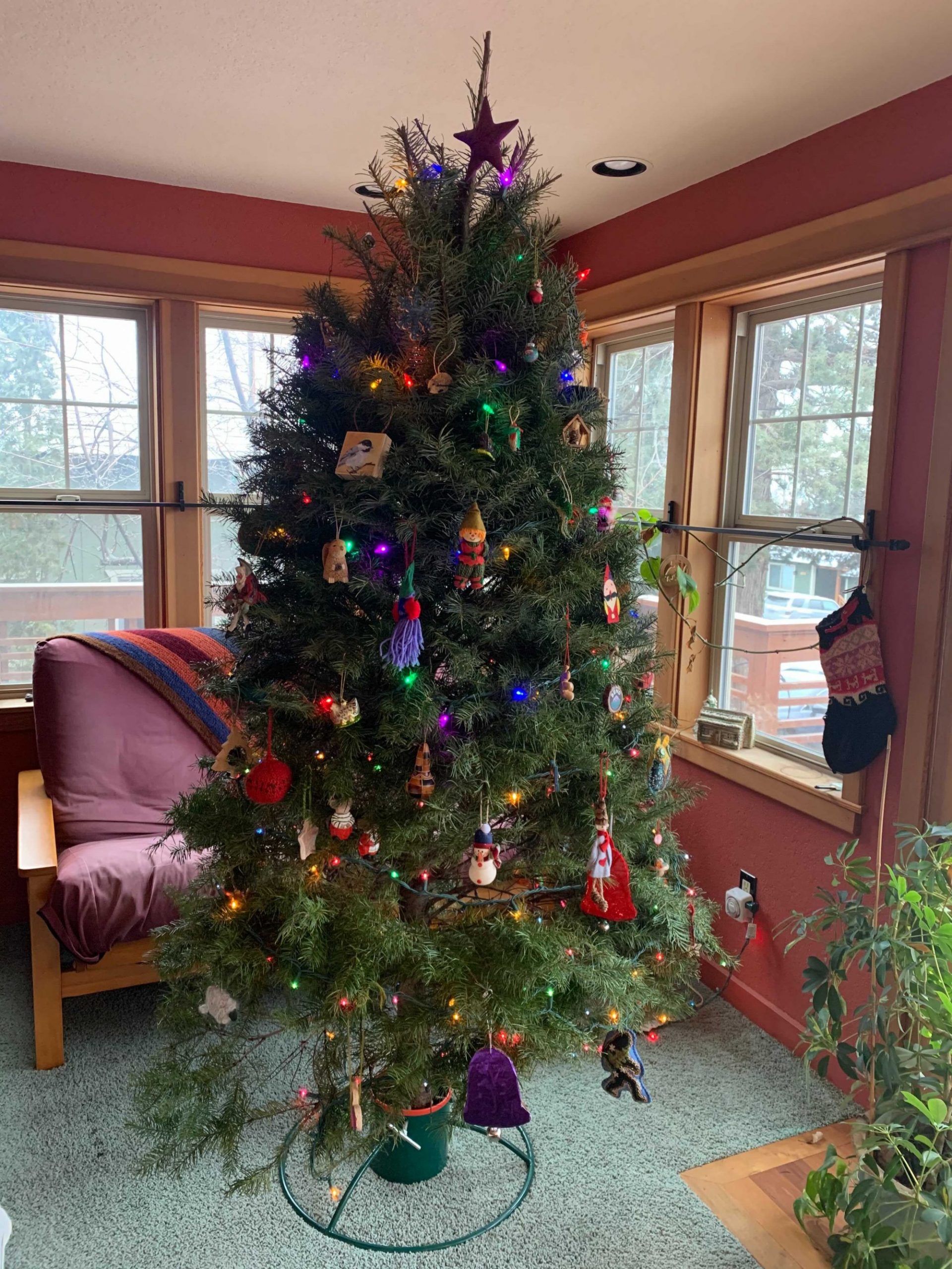 Christmas Tree Recycling Bend Oregon 2022 Recycle Your Holiday Tree | The Environmental Center