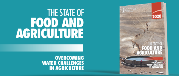 The State Of Food And Agriculture | The Environmental Center