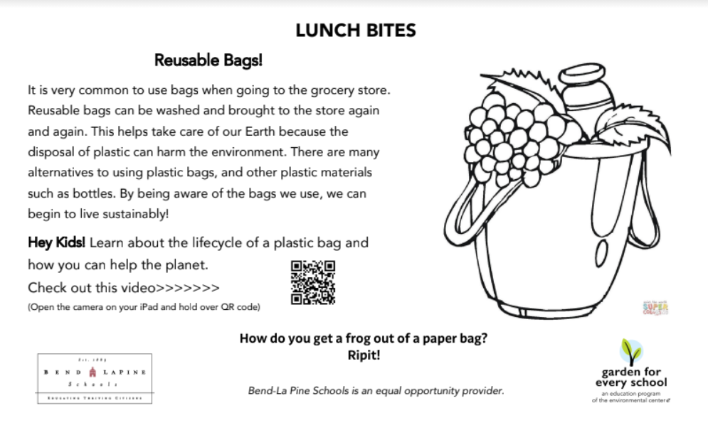 Do You Have Too Many Reusable Bags? Here's What To Do With Them