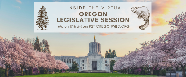 Webcast Inside The Virtual Oregon Legislative Session The