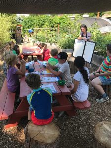 Eco-Heros learning in the garden