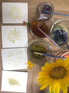 How to Make Watercolor Paint from Flowers – Mother Earth News