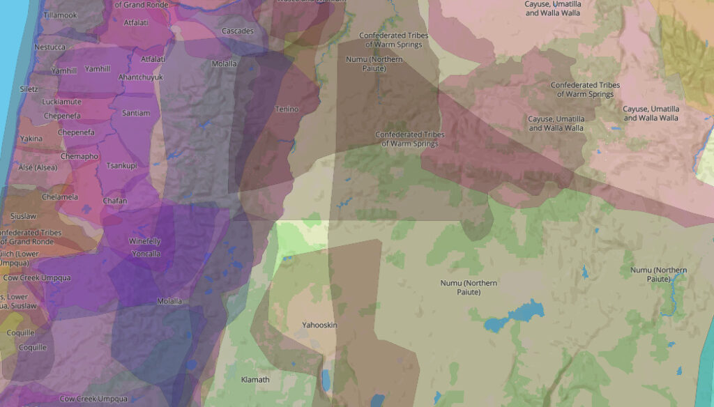 Land Acknowledgement The Environmental - Screen Shot 2022 01 10 At 4.32.18 PM 1024x584 