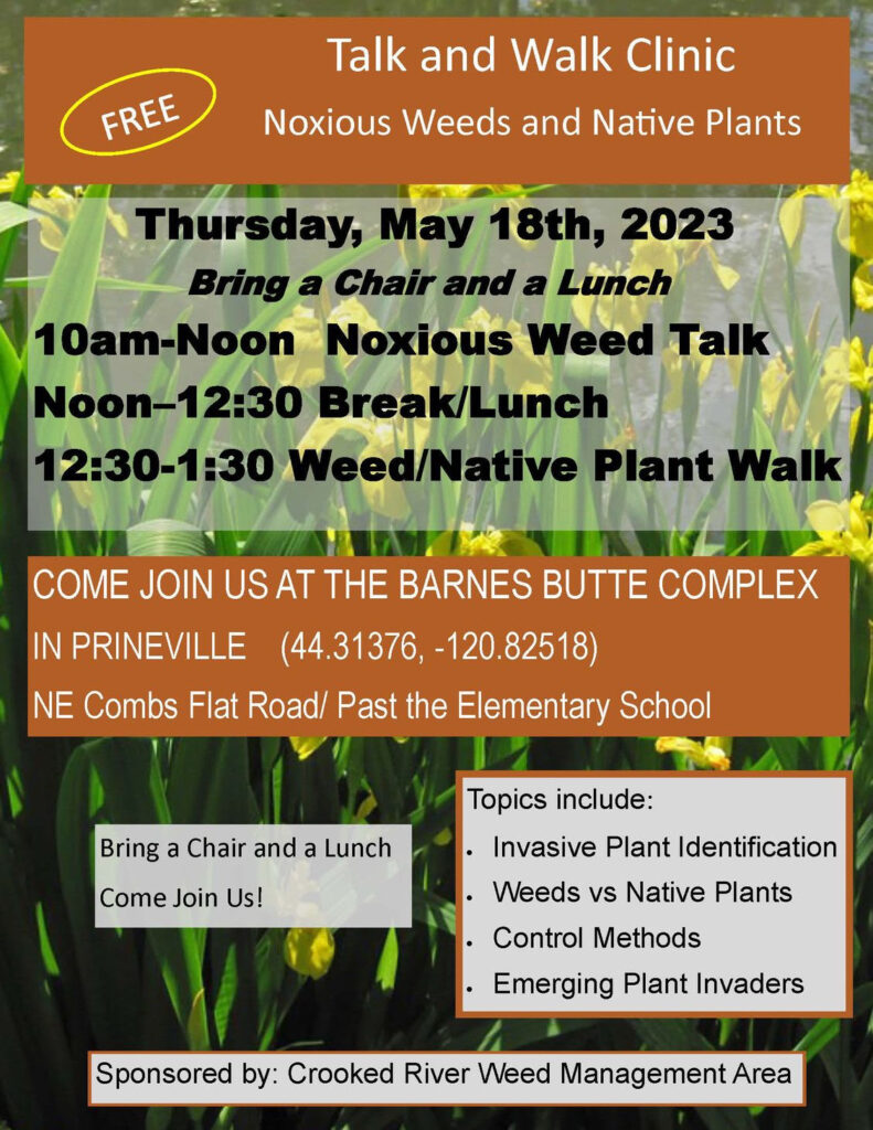 Talk & Walk Clinic for Noxious Weeds and Native Plants | The ...