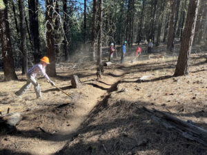 a group of people work on a mountain biking trail in the forest