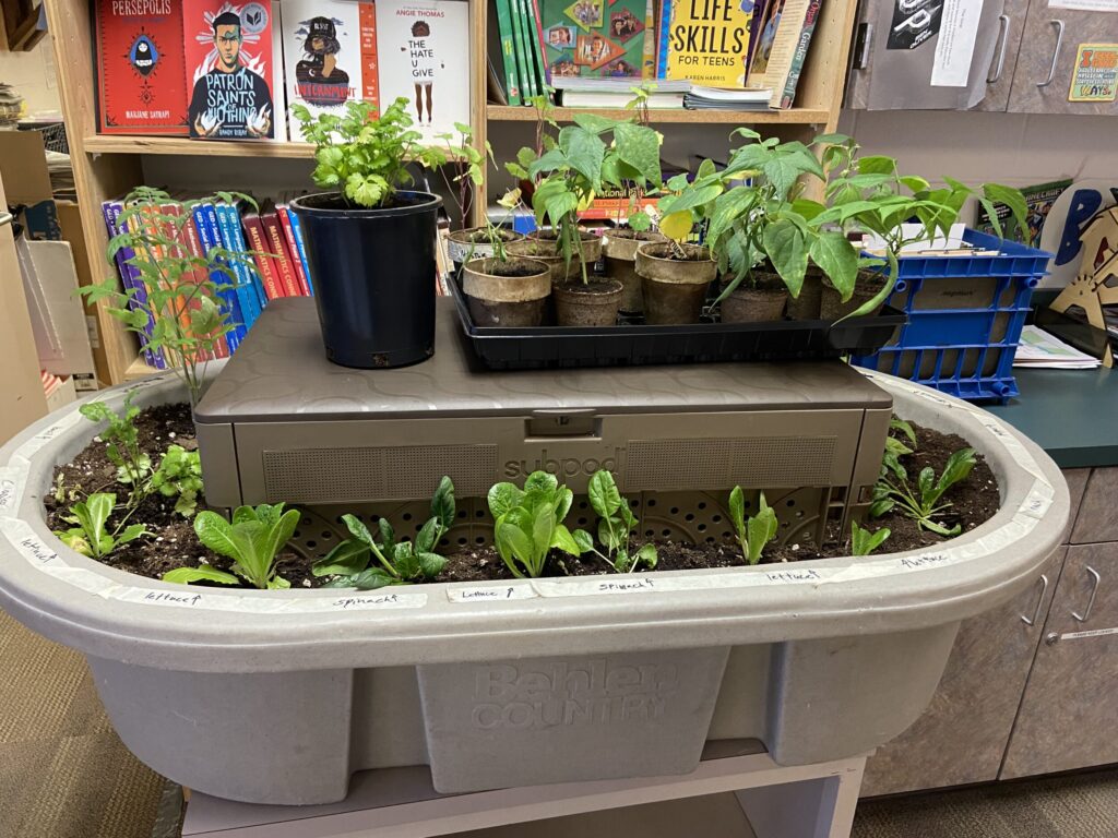 A subpod garden compost with herb plants inside a room with books on a shelf behind it