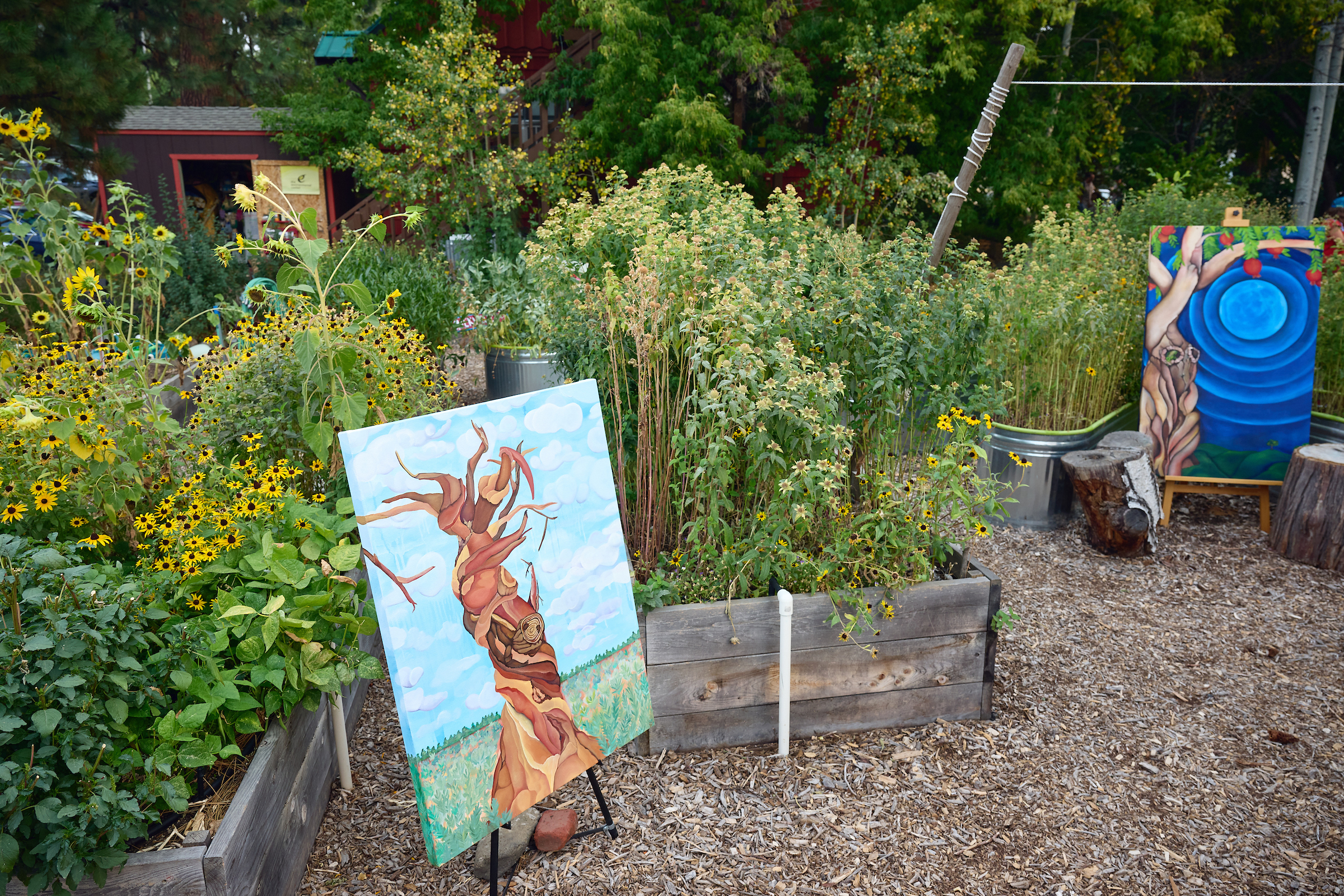 a garden with yellow flowers and two paintings placed among the garden beds.