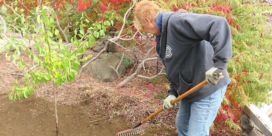 a person uses a rake in a garden bed