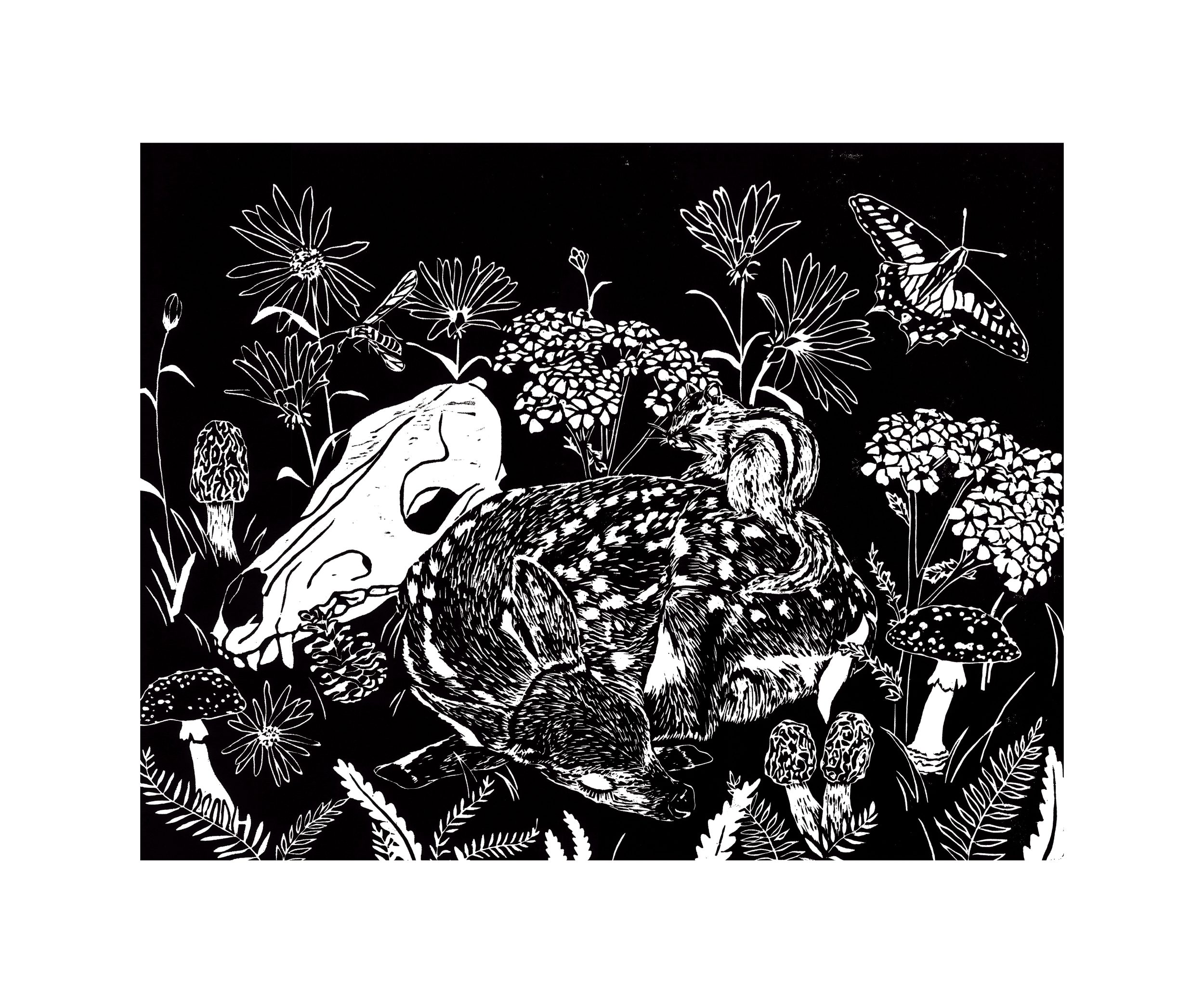a black and white block print depicting a sleeping fawn, a skull, wildflowers, mushrooms, and a butterfly