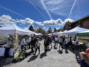 people walking at a street fair with blue skies and white tents