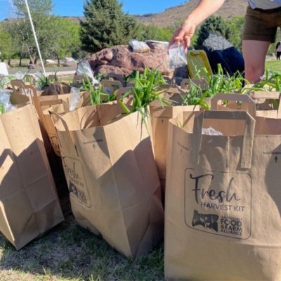 Paper bags of produce stamped with Fresh Harvest Kit sitting outside with a hand reaching