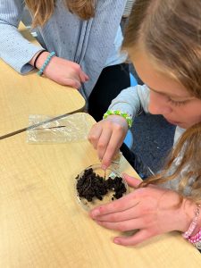 students sitting at a desk look at soil and worms using tweezers