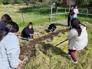 Several high school age people holding tools and standing or on their knees while they work in a grasses area prepaiting it for future planting.