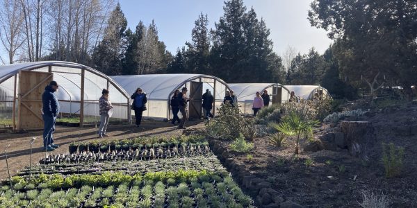 8DA313D1-1A7B-4BC6-A324-330A26957F3C