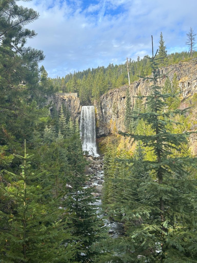 image of long waterfall with pine trees in foreground
