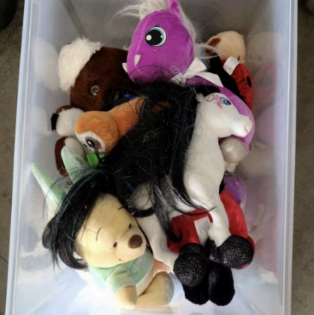 Some kids toys in a clear plastic tote