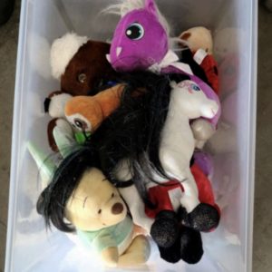 Some kids toys in a clear plastic tote