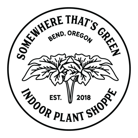 https://envirocenter.org/wp-content/uploads/2026/05/Somewhere-Thats-Green-Logo.png