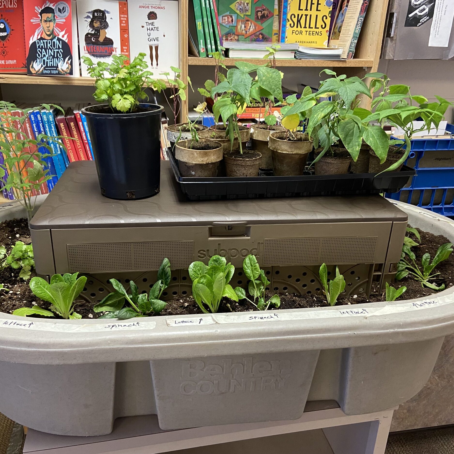 A subpod garden compost with herb plants inside a room with books on a shelf behind it