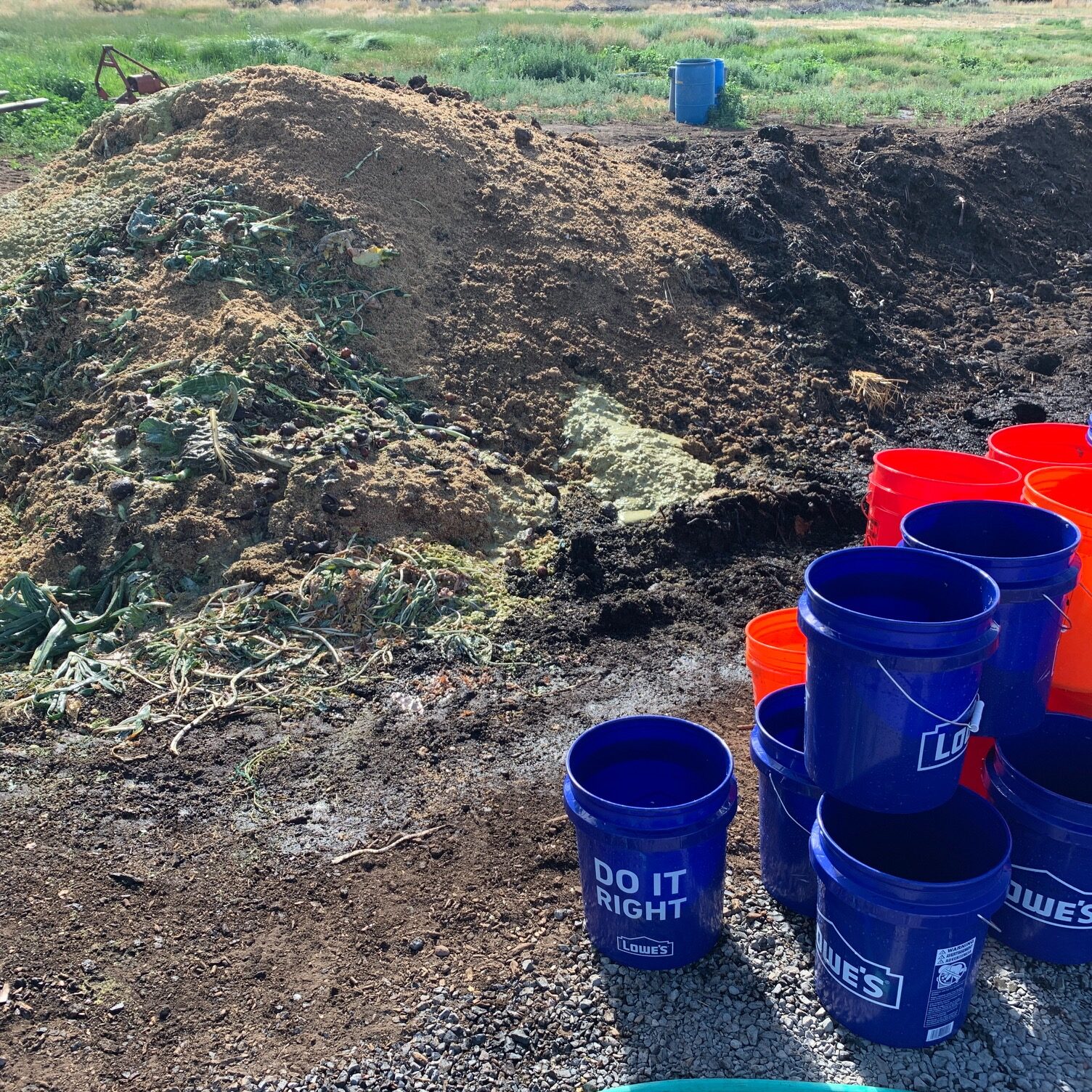 5-gallon buckets next to a mound of trube at Fields Farm