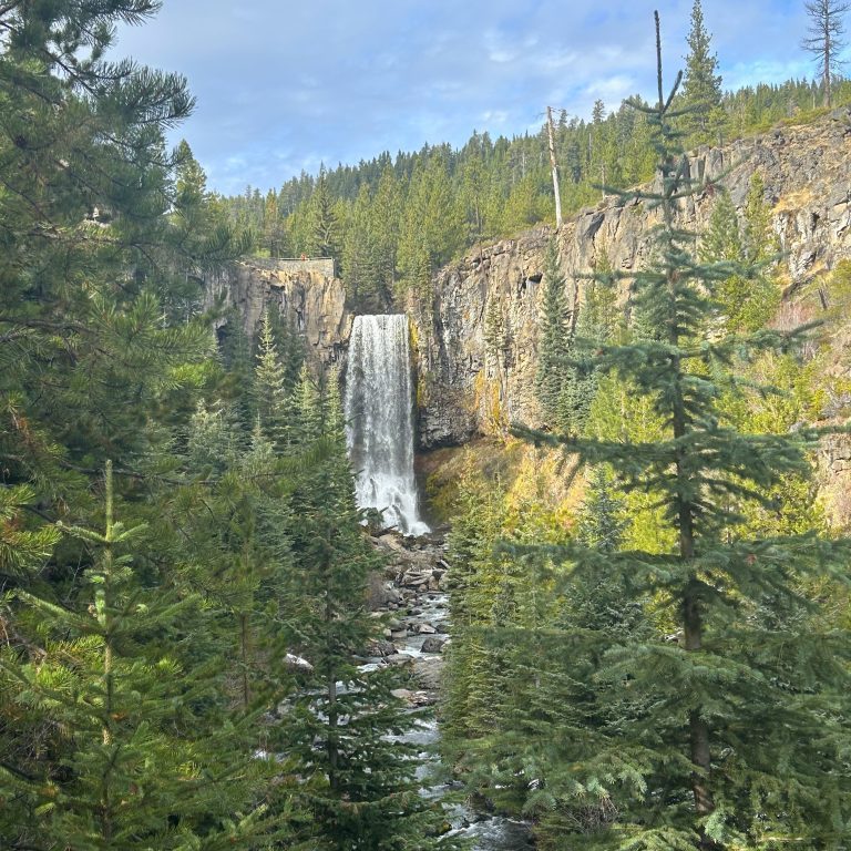 image of long waterfall with pine trees in foreground